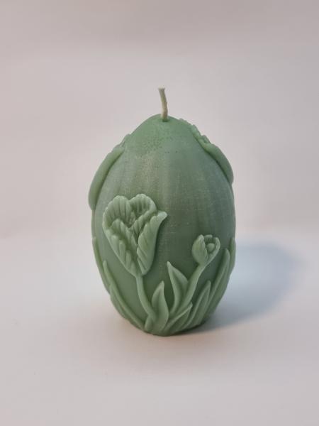 Tulpe grün
